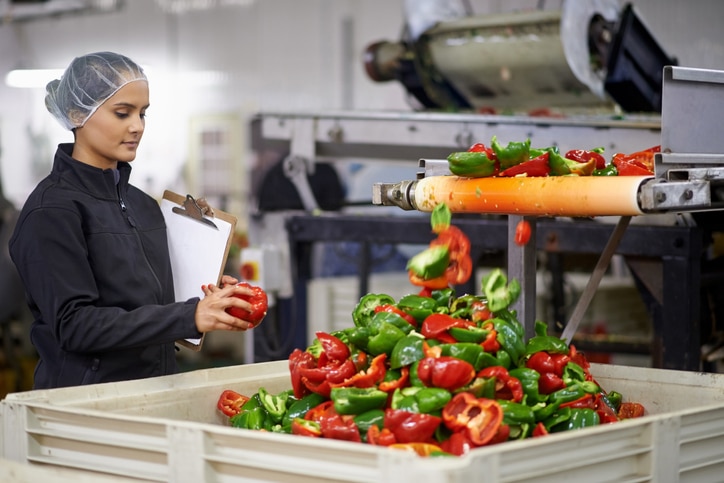 Inspecteur de qualité vérifiant des poivrons frais dans une usine agroalimentaire.